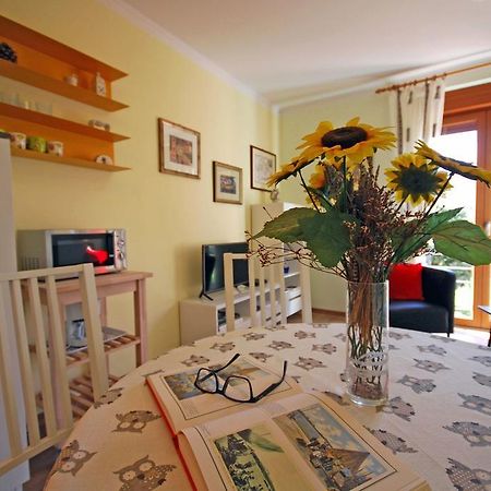 Apartments Sponza Rovinj Zewnętrze zdjęcie